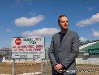Bird flu found in six Sask. flocks, including four commercial farms