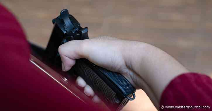 Study Confirms What We Knew All Along: Look What's Happening in Areas with High Gun Ownership