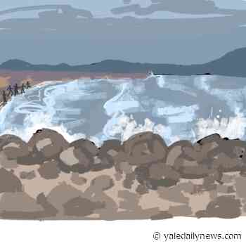 Running a half marathon: my knees are broken, but my heart is whole - Yale Daily News