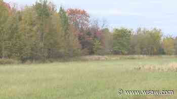 Canadian mining company sets sights on Marathon County's Reef Deposit - WSAW