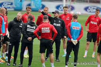 Warum es für den 1. FC Köln beim FC Augsburg um Millionen geht - EXPRESS