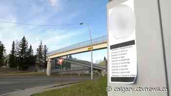 Calgary police investigate racist posters discovered in Thorncliffe | CTV News - CTV News Calgary