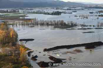 BC expands disaster flood assistance for farmers, small businesses – Kitimat Northern Sentinel - Kitimat Northern Sentinel