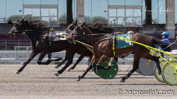 Fit Fanatic hangs on in Provost Memorial - Harnesslink