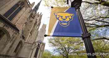 Provost's Diversity Institute for faculty kicks off May 10 - University Times