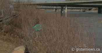 Number of people sleeping rough in Calgary increases - Global News