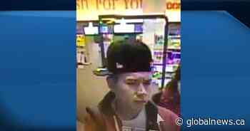 Edmonton police seek suspect after man stabbed while trying to stop theft