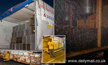 Millions of honeybees were left to bake to death in a crate