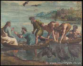 In Focus: Raphael the painter, draughtsman, architect, poet... and perhaps the ultimate Renaissance man - Country Life
