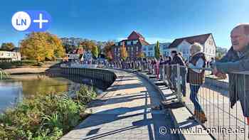 Karpfenfieber in Reinfeld: Darum wurde das Abfischen zur Geduldsprobe - Lübecker Nachrichten