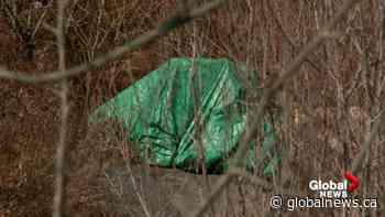 Increase in number of people sleeping rough in Calgary