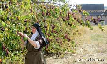 A contemplative presence in the West: the Carmelites of Armstrong - The B.C. Catholic