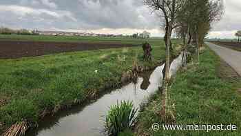 Drainagen der Äcker laufen schlecht ab: Bachbett der Volkach Richtung Hörnau soll ausgebaggert werden - Main-Post