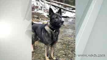 Investigation underway after K-9 found dead in Cattaraugus County