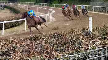 Palio di Fucecchio, sabato si torna in pista per le corse di addestramento - IlCuoioInDiretta - IlCuoioInDiretta