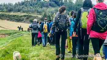 A Fucecchio torna il Cispia day con camminata, aperitivo e maxi grigliata - IlCuoioInDiretta - IlCuoioInDiretta