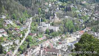 Krankenhaus in Schramberg - Gelände für 1,8 Millionen – Nun startet der Wettbewerb - Schwarzwälder Bote