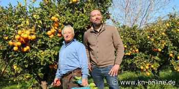 Orangen aus dem Touristenparadies: die Zitrushelden vom Gargano