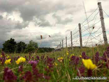 Der Bau der Grenze vor 70 Jahren - Seminar der Point Alpha Akademie in Geisa 23. & 24.5.22 - Rhönkanal