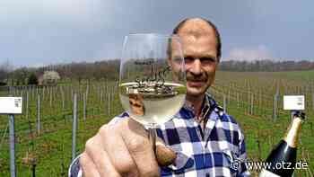 Weinfrühling an Saale, Unstrut und Weißer Elster