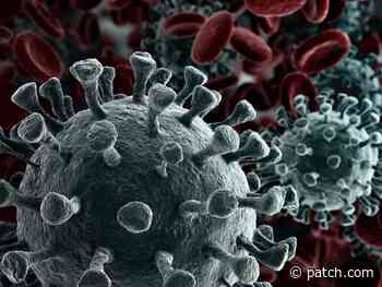 Average Daily Coronavirus Cases Keep Rising In Naugatuck - Patch