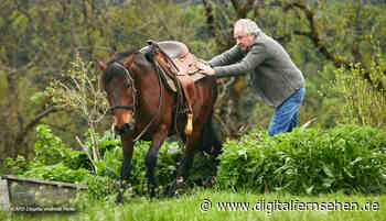 "Zimmer mit Stall" im Ersten geht heute weiter - Digitalfernsehen.de
