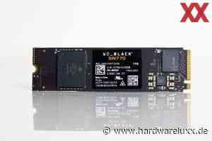 Western Digital WD_Black SN770 im Test: Blau ist das neue Schwarz - Hardwareluxx - HardwareLuxx