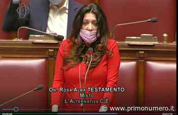 Punto nascite e richiesta di deroga per Termoli, Testamento interroga Speranza e dichiara Papa inadeguato - Primonumero