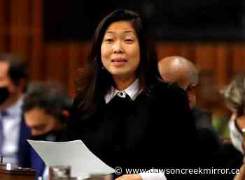 Canadian companies expected to uphold ethical standards abroad under new strategy - Dawson Creek Mirror