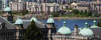 Getting rid of misbehaving BC municipal councillors - Dawson Creek Mirror