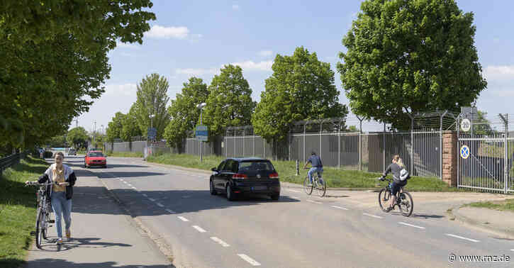 Heidelberg:  Debatte um neun Bäume in der Sickingenstraße