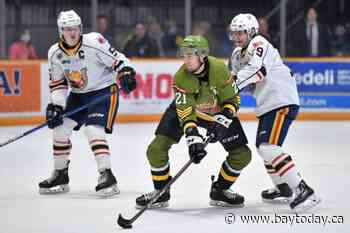 Brandon Coe up for a pair of major OHL awards - BayToday.ca