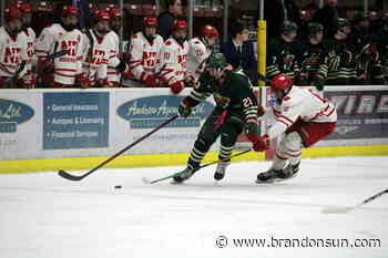 Hounds edge Wild in Telus Cup regional opener - The Brandon Sun