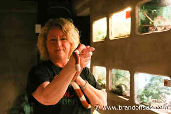 Reptile gardens bouncing back after fire - The Brandon Sun