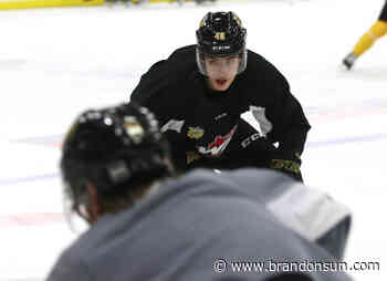 Prospects soak up WHL playoff atmosphere - The Brandon Sun