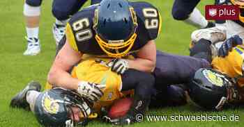 Biberach Beavers empfangen zum Saisonauftakt Weinheim Longhorns - Schwäbische