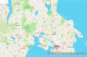 Data project blames short-term rentals for strangling Victoria's housing market – Saanich News - Saanich News