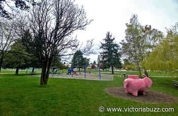 Here are all the new upgrades coming to Saanich's Rutledge Park - Victoria Buzz
