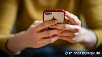 Digital-Nutzung erreicht Höchststand - Tagesspiegel