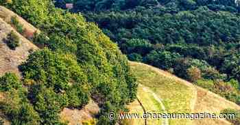 Beringen ontpopt zich als toeristisch centrum - Chapeau