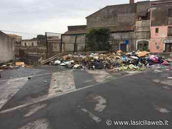 “Ecco cosa vede chi va al cimitero di Catania” - lasiciliaweb | Notizie di Sicilia