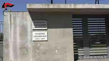 Reddito di cittadinanza, 389 'furbetti' denunciati dai carabinieri di Catania - Italia - Agenzia ANSA