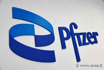 Pfizer: chiusa vertenza 130 esuberi Catania, passa accordo - Agenzia ANSA