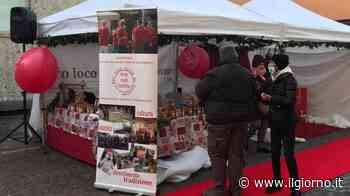 Pro loco in fiore nel centro di Lissone - IL GIORNO