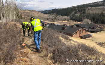 Bike Cochrane named town's official Trail Stewards - CochraneNow.com