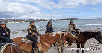 You can go horseback riding at a beach trail in Ontario this spring - blogTO