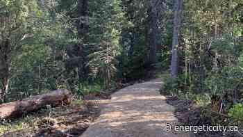 Fish Creek temporary trail closures during tree removal - Energeticcity.ca