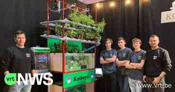 "Koiboys" van VTI Menen winnen innovatieprijs van Vlaanderen met project rond Japanse karpers - VRT NWS