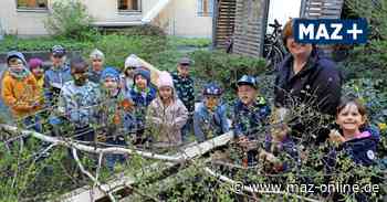 Bad Belzig: Maibaum wird am 30. April aufgestellt - Märkische Allgemeine Zeitung