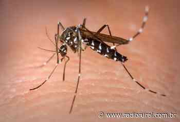 Ipira intensifica trabalhos de combate à dengue - Rádio Rural